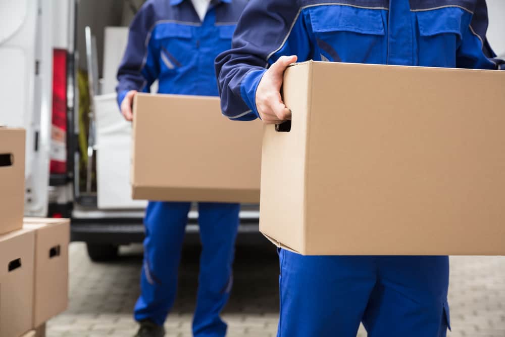 Close-up,Of,Two,Mover's,Hand,In,Uniform,Carrying,Cardboard,Box
